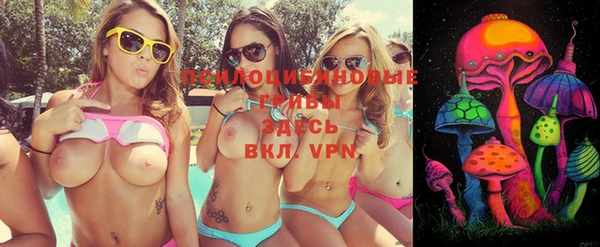 a pvp Пересвет